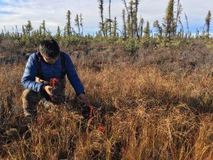 Charlie Snowshoe Jr, a highschool student from Fort McPherson, takes measurements as part of a study of historical water levels in the Mackenzie Delta.